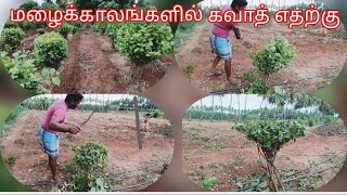 மழைக்காலங்களில் கவாத் செய்வதற்கான காரணம் இயற்கை விவசாயி லோகு 9787155461