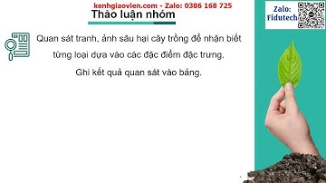 Giáo án powerpoint chương V - bài 16: Một số sâu hại cây trồng...| GA điện tử Công nghệ 10 KNTT