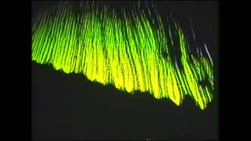 Analog Camera Generated Fractal