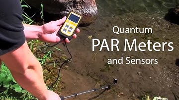 Quantum PAR Meters and Sensors | Apogee Instruments, Inc.
