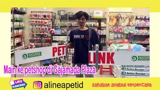 Petshop di Gajamada Plaza Lengkap Banget Bisa Adopsi Kucing dan Anjing by Bang Daus Ali Channel 126 views 3 years ago 1 minute, 15 seconds