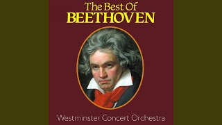 Symphony No. 5 in C minor, Op.67: Allegro con brio