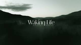 Waking Life - In Between Dreams