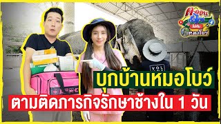 บุกบ้านหมอโบว์ ตามติดภารกิจรักษาช้างใน 1 วัน