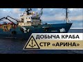 Видео.  Добыча краба, судно крабового промысла СТР-503 АРИНА, «Интеррыбфлот», Охотское море 2018 год