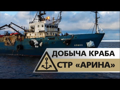 Видео. Добыча краба, судно крабового промысла СТР-503 АРИНА, «Интеррыбфлот», Охотское море 2018 год