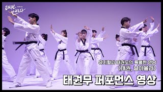 [#뮤지컬태권날아올라] 태권무 퍼포먼스 영상 공개 | #태권도 #태권도퍼포먼스