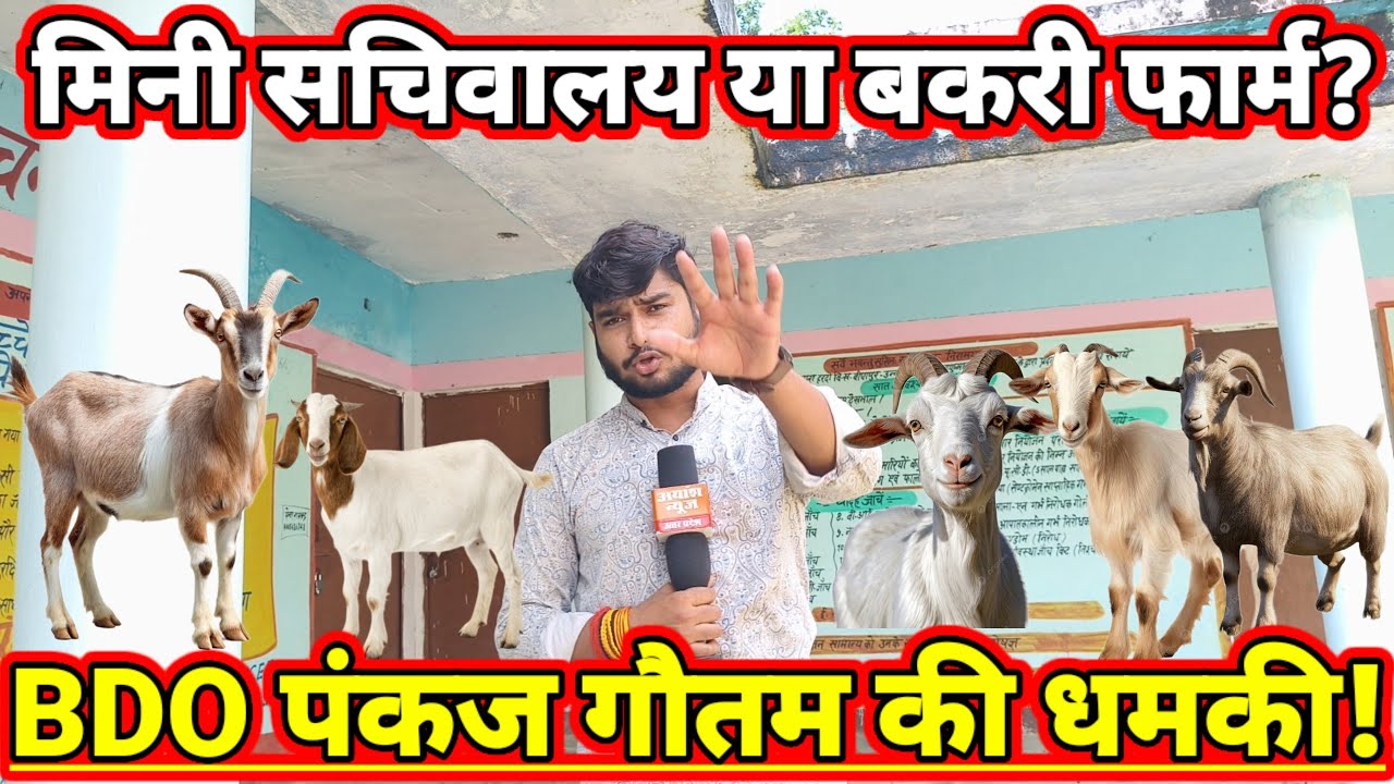 बीघापुर ब्लॉक में मिनी सचिवालय बना बकरी फार्म, सवाल पर BDO पंकज गौतम की पुलिस धमकी! Ankit Singh 