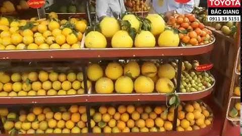 Lễ Hội Hoa Quả Huyện Lục Ngạn Tỉnh Bắc Giang năm 2019 | Toyota Bắc Giang