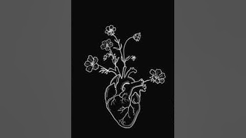 آيات من سوره لقمان