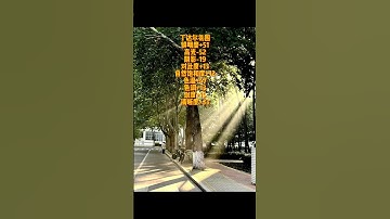 A collection of popular filter parameters Recommended for Collection #Photo editing#Color