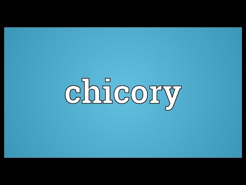 Video: Chicory: Sifat Dan Kontraindikasi Yang Berguna