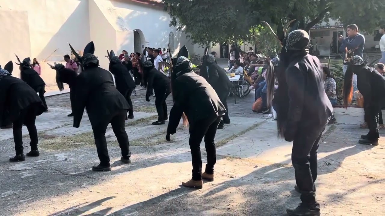La danza de los diablos negros. Tuxpan Gro 