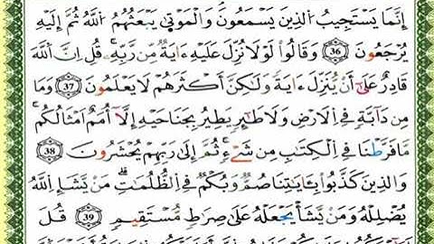 سورة الأنعام//لفضيلة الشيخ العيون الكوشي