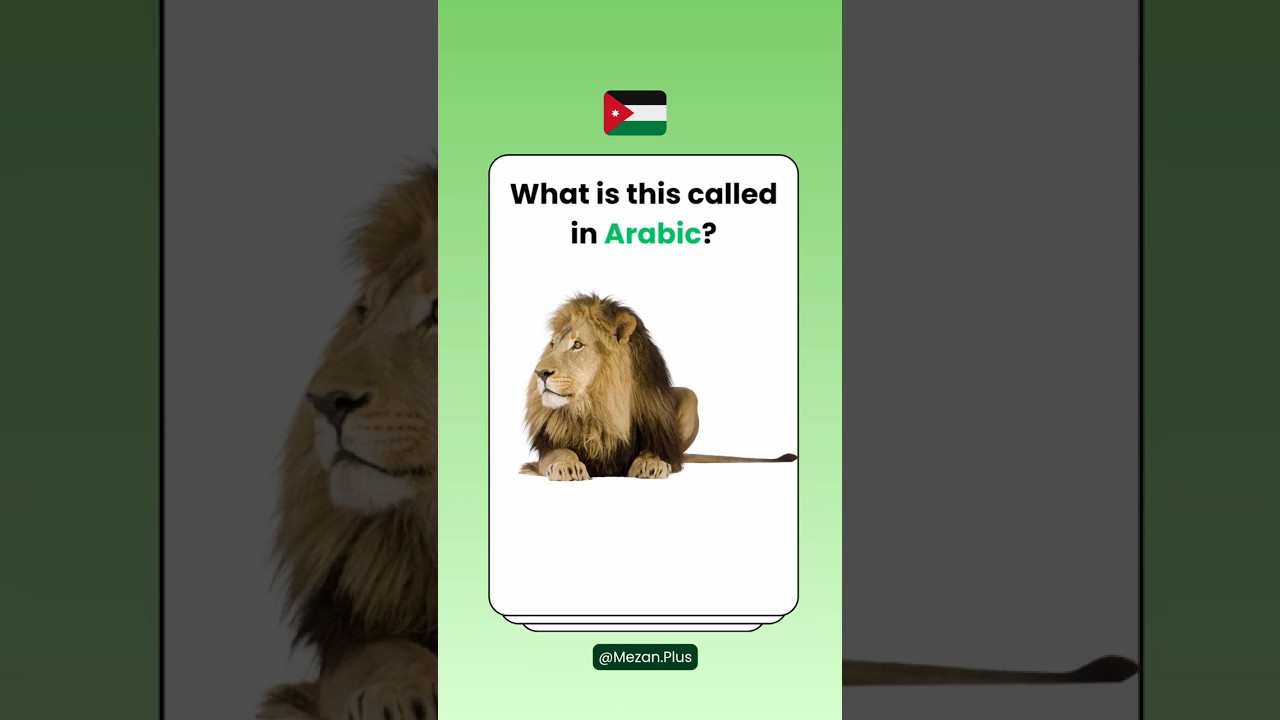 Join our Arabic classes and start speaking from Day 1.