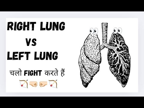 Differences between right and left lung /Lung anatomy/lobes/hilum/right ...