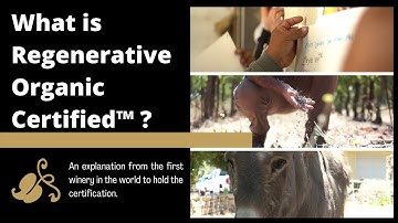 What is Regenerative Organic Certified™? | An Explanation