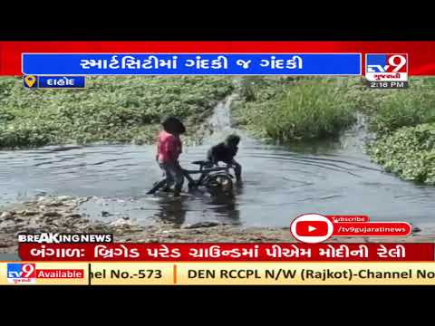 Dudhimati river brimming with filth , Dahod | Tv9GujaratiNews