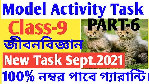 Class 9 Life Science Model Activity Task Part 6/Model Actvity Task life Science Model Activity Task