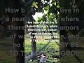#nature #naturelovers #warzone #travel #landscape