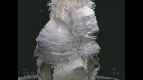 Lab Time Lapse - NaSO4 High RH on Limestone 17 sec - Eric Doehne