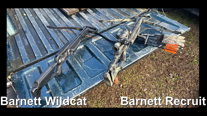 Barnett Blackcat Wildcat Crossbow First Shots