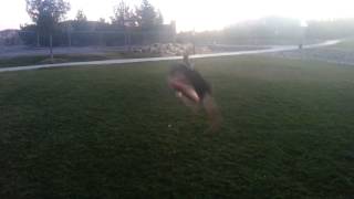 Ch9 hyper & double full