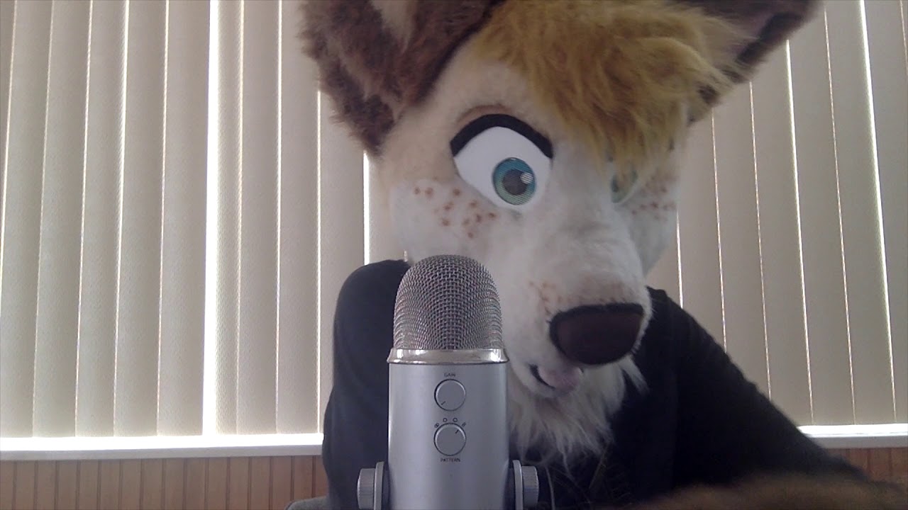 Furry ASMR | Gaming controllers