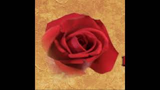 Jewel Moore Service