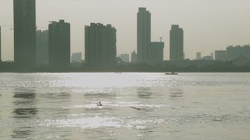 A River Runs, Turns, Erases, Replaces - Zhu Shengze (2021) trailer