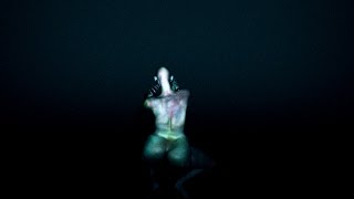 Arca - Thievery