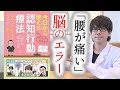 【最新科学】腰痛治療の最先端！認知行動療法とは何か？簡単に出来る実践法をご紹介〜論文解説シリーズ〜【整体】【ストレッチ】