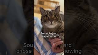 Every Moment With You Is Worth It, Even If It Hurts Later