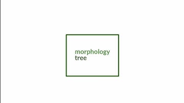 morphology tree (diagram)