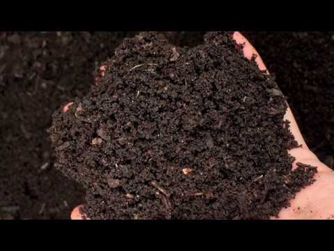 Video: Bananenschil gebruiken in compost - het effect van bananen op bodemcompost
