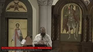 20220807 - Sermon - Fr. Gregory - Symbol of Faith - Part 6 - 8th Sunday of Matthew