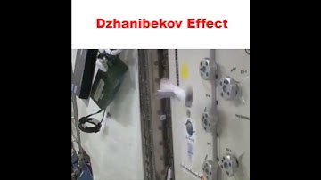 Dzhanibekov Effect