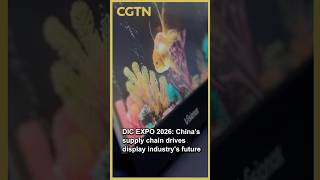 DIC EXPO 2026: Chinas supply chain drives display industrys future