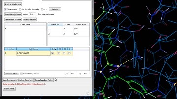 Protein Preparation - Quick Example 1A9U