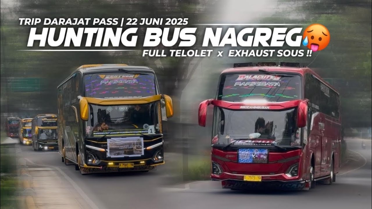 JACKPOT BUS ARTIS GAK YA🤔Selesai Telolet, Terbitlah Suos🥵Hunting Bus di Nagreg, Full Telolet 12 Not