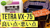 外部フィルター音比較 テトラvx 75とvx 60の動作音をtascam Dr 07で録音してみた アクアリウム Youtube