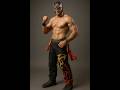 Virtua Fighter 5 - El Blaze