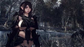 Skyrim SE: I rebuild my Skyrim just with few mods Part 05