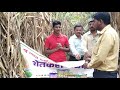 Nava bharath fertilizers ltd
