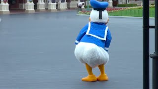 ドナルドのお尻フリフリ（開園前グリーティング TDL）