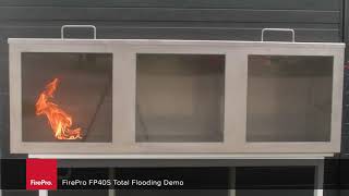 Firepro Fp40S Total Flooding Demo