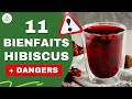 HIBISCUS : 11 BIENFAITS ET DANGERS POUR LA SANTÉ (C'EST IMPRESSIONNANT 😱)