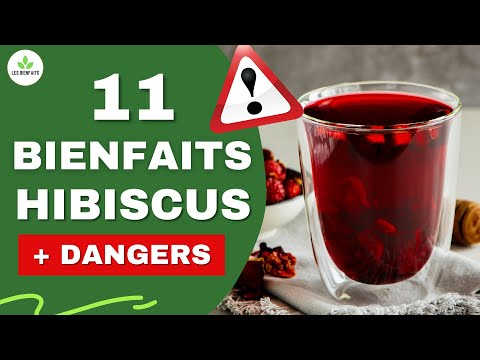 Vidéo: Propriétés Utiles Du Thé D'hibiscus