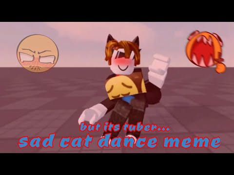 sad cat dance meme roblox｜TikTok Search