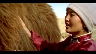 Mongolian Music - Boerte Gobi